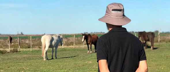 Sesiones individuales de coaching o de Desarrollo Personal