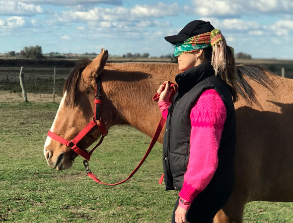 Coaching con caballos para equipos